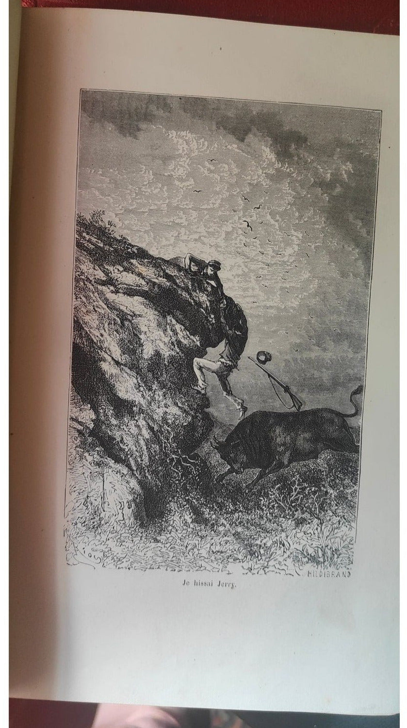 Image traitée - W. H. G. Kingston Une Croisière autour du Monde Paris, Librairie Hachette et Cie, 1876