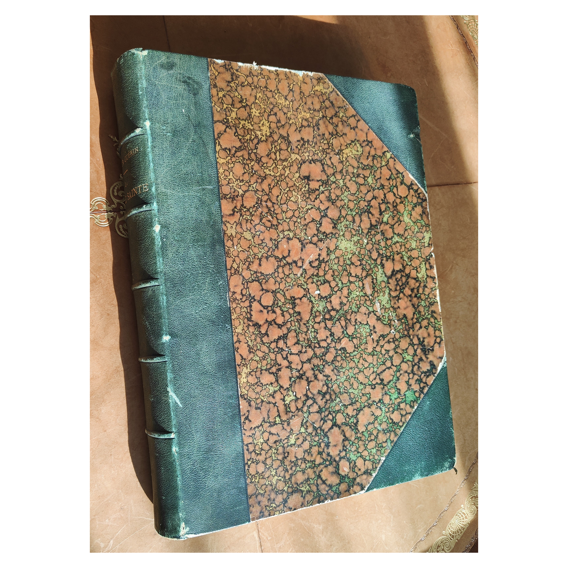La Terre Sainte livre Victor Guérin voyage Palestine géographie religieuse 1882 400 euros