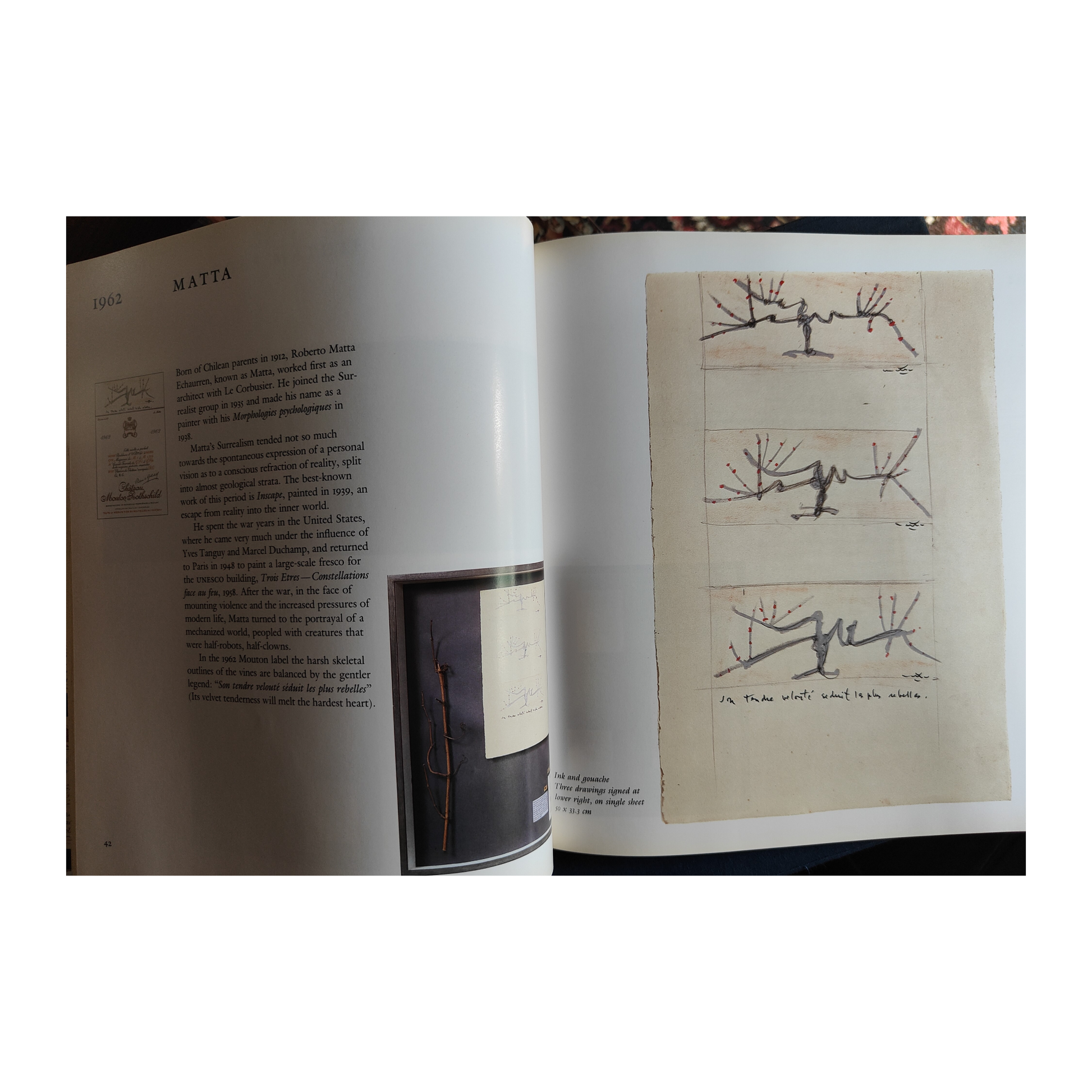 Paintings for the Labels Mouton Rothschild livre d'art étiquettes vin collection Mouton 1983 authentique