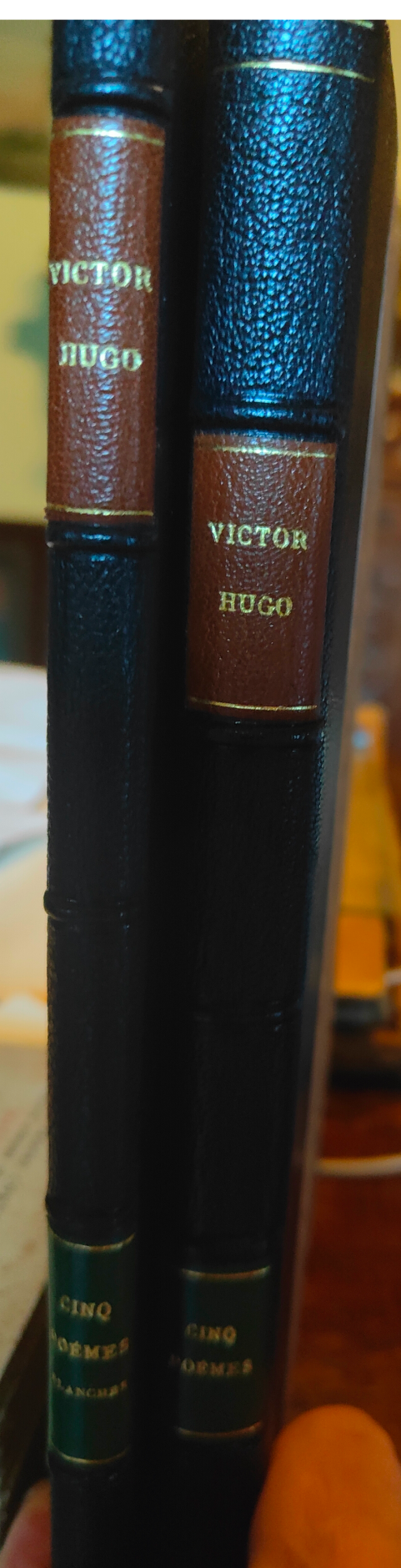 5 Poèmes de V. Hugo Centenaire livre d'art Victor Hugo illustrations japon tiré à part 1902 reliure 2 volumes 480 euros