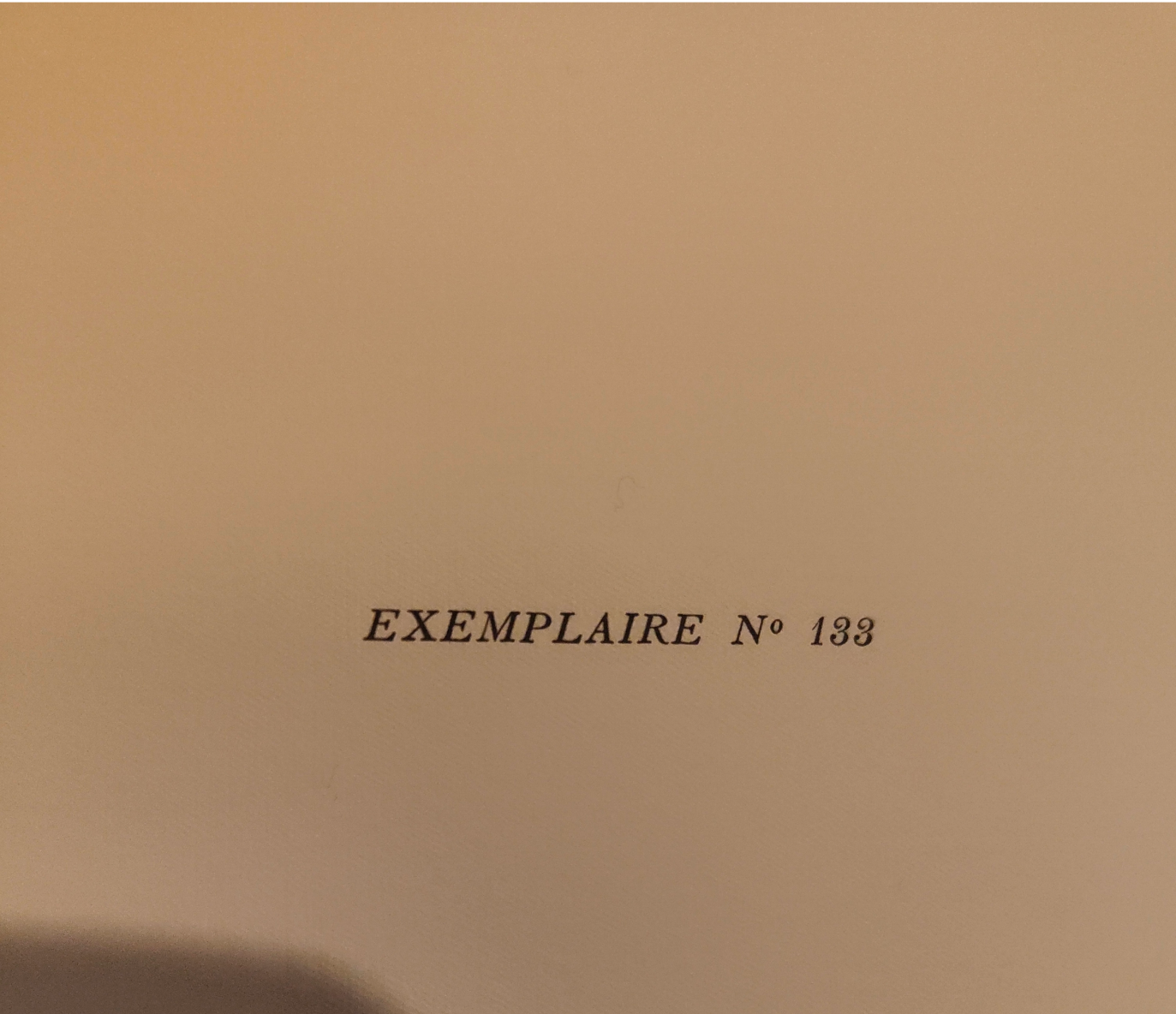 5 Poèmes de V. Hugo Centenaire livre d'art Victor Hugo illustrations japon tiré à part 1902 reliure 2 volumes 480 euros