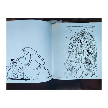 Ideotraces livre d'art Pierre Alechinsky art contemporain belge CoBrA peintre authentique
