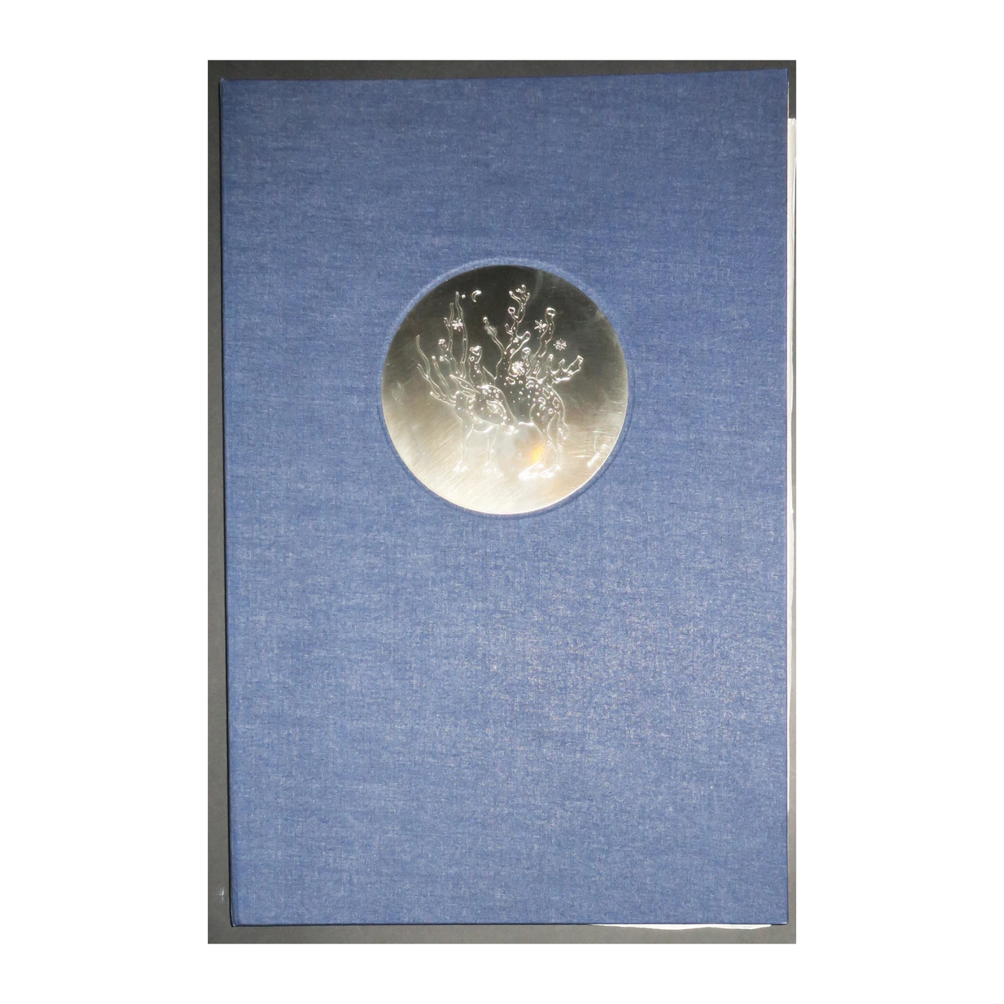 Métamorphoses hermétiques livre d'art Mordecai Moreh art contemporain hermétisme 1976 900 euros