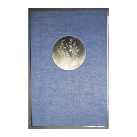 Métamorphoses hermétiques livre d'art Mordecai Moreh art contemporain hermétisme 1976 900 euros