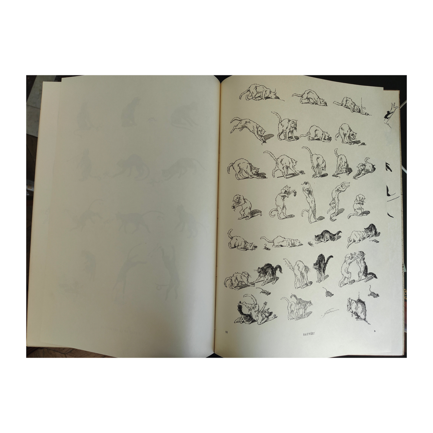 Des Chats – Steinlen